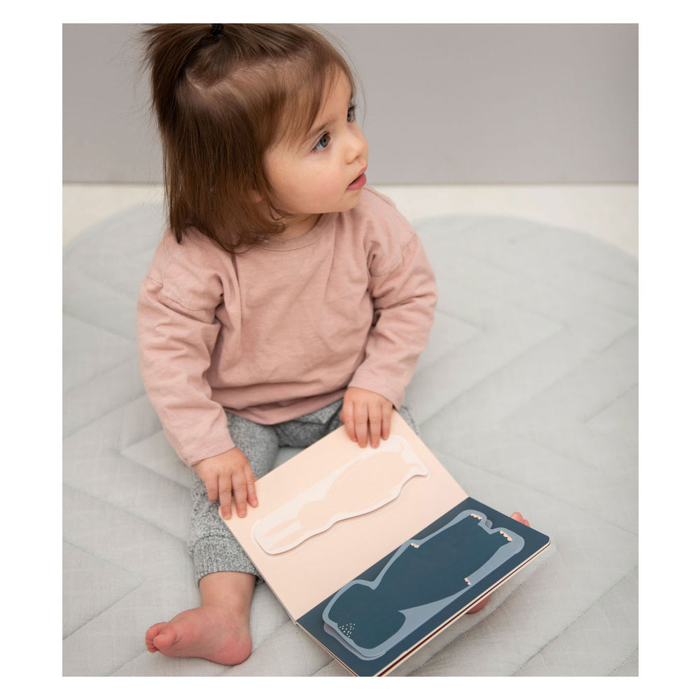 Trixie Flap Book Animals