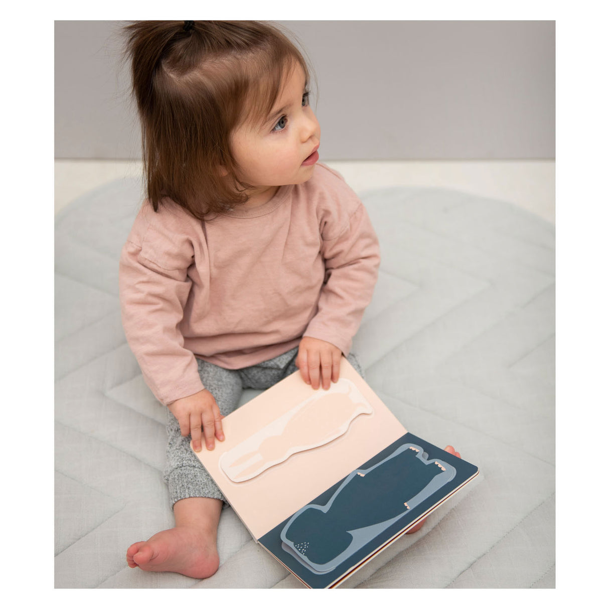 Trixie Flap Book Animals