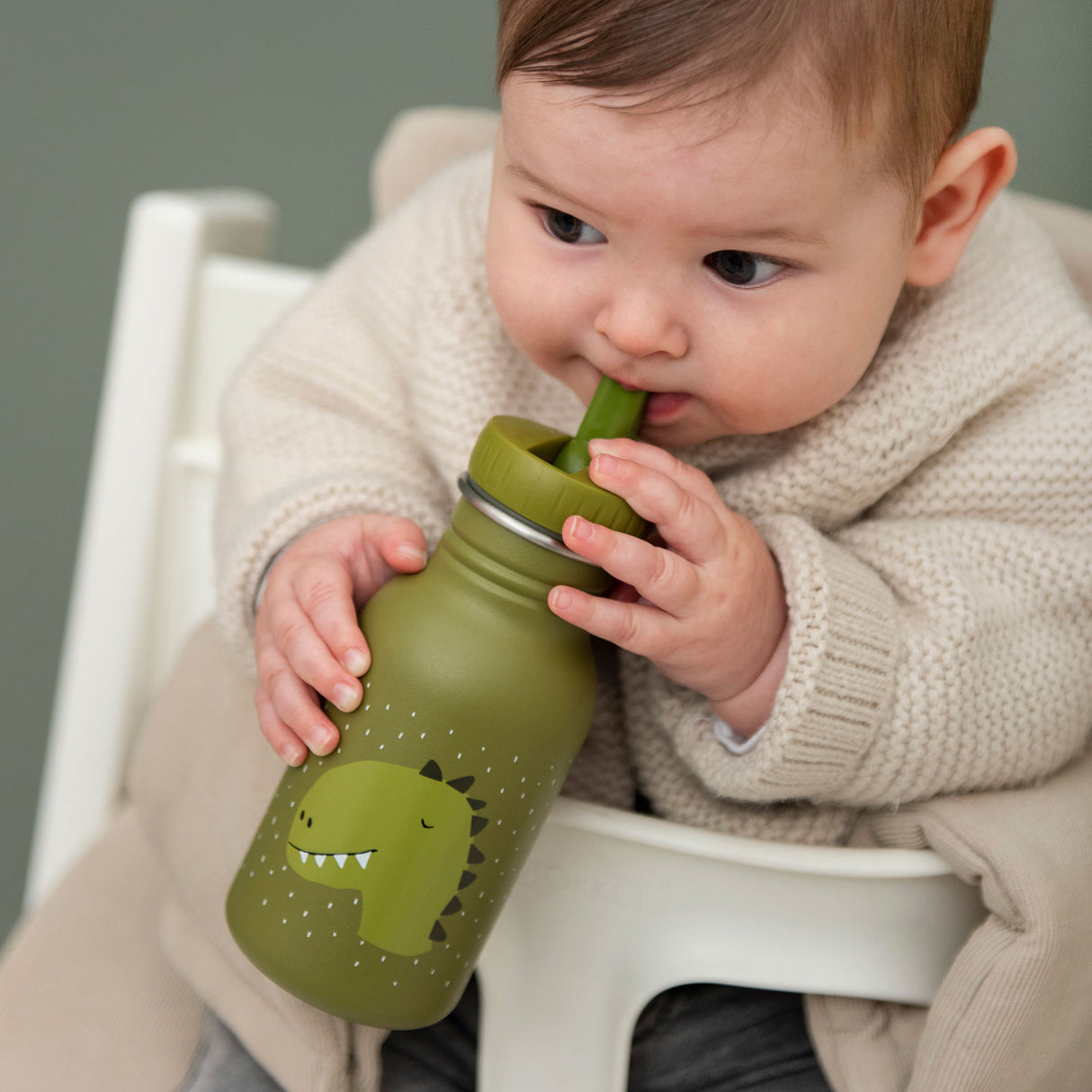 Trixie Drinking Bottle Mr. Dino, 350ML