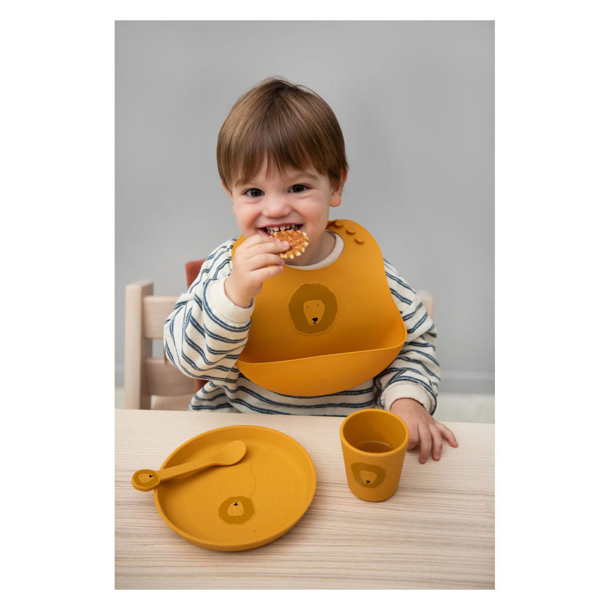 Trixie Silicone Plate Mr. Lion