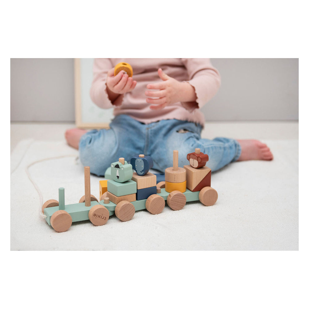 Trixie wooden animal train, 19 pcs.