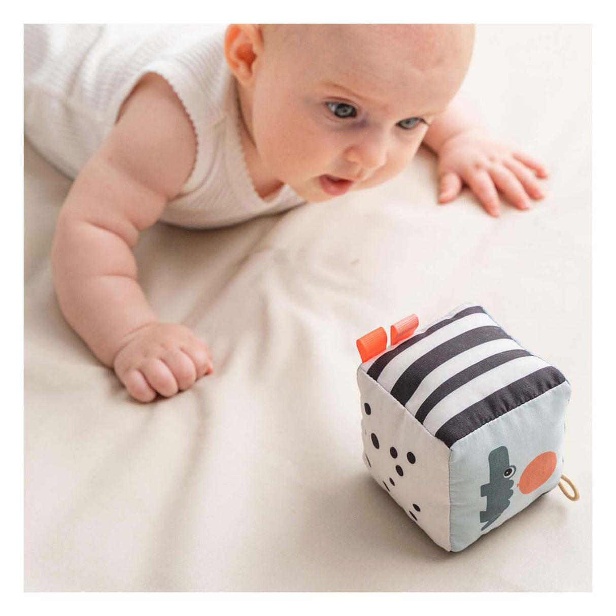 Készült szarvas kontraszt kocka boldog felhők