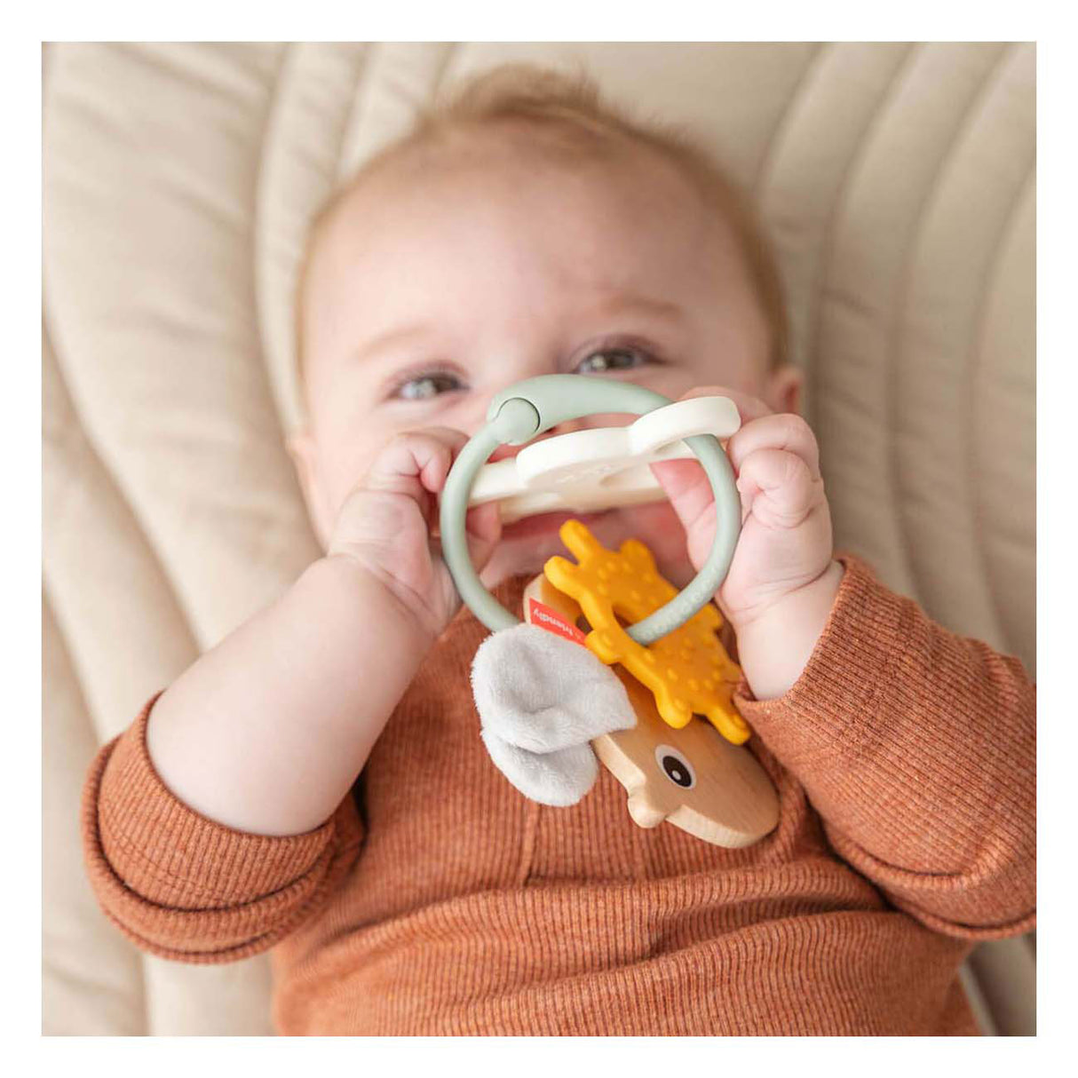 Realizado por ciervos actividad sensorial anillo nubes felices