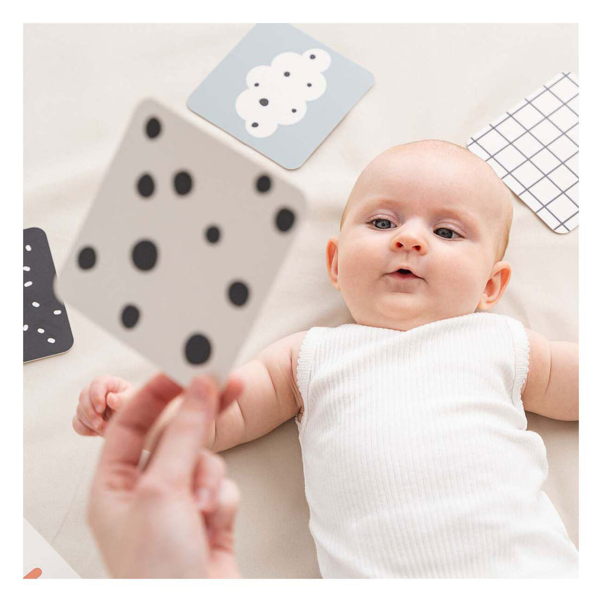 Von Hirschbabykontrastkarten -Hirschfreunden erledigt, 10st.