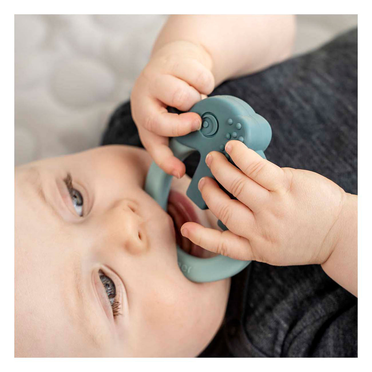 Fait par des cerfs piétonnants amis de cerfs bleu vert, 2e.