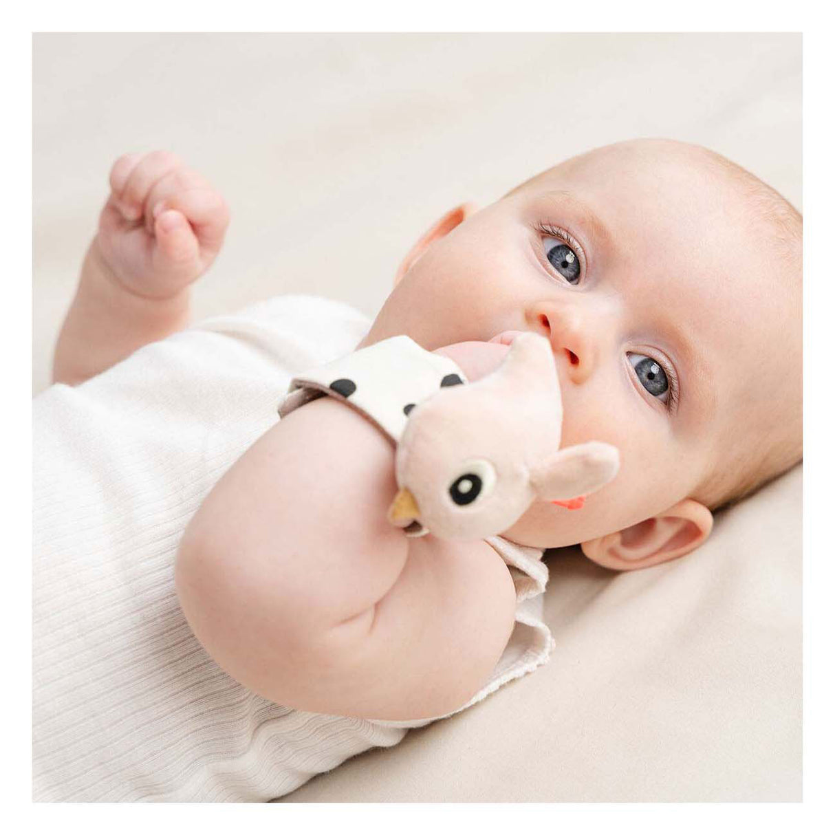 Fait par des nuages de poignet de cerf nuages heureux rose, 2e.