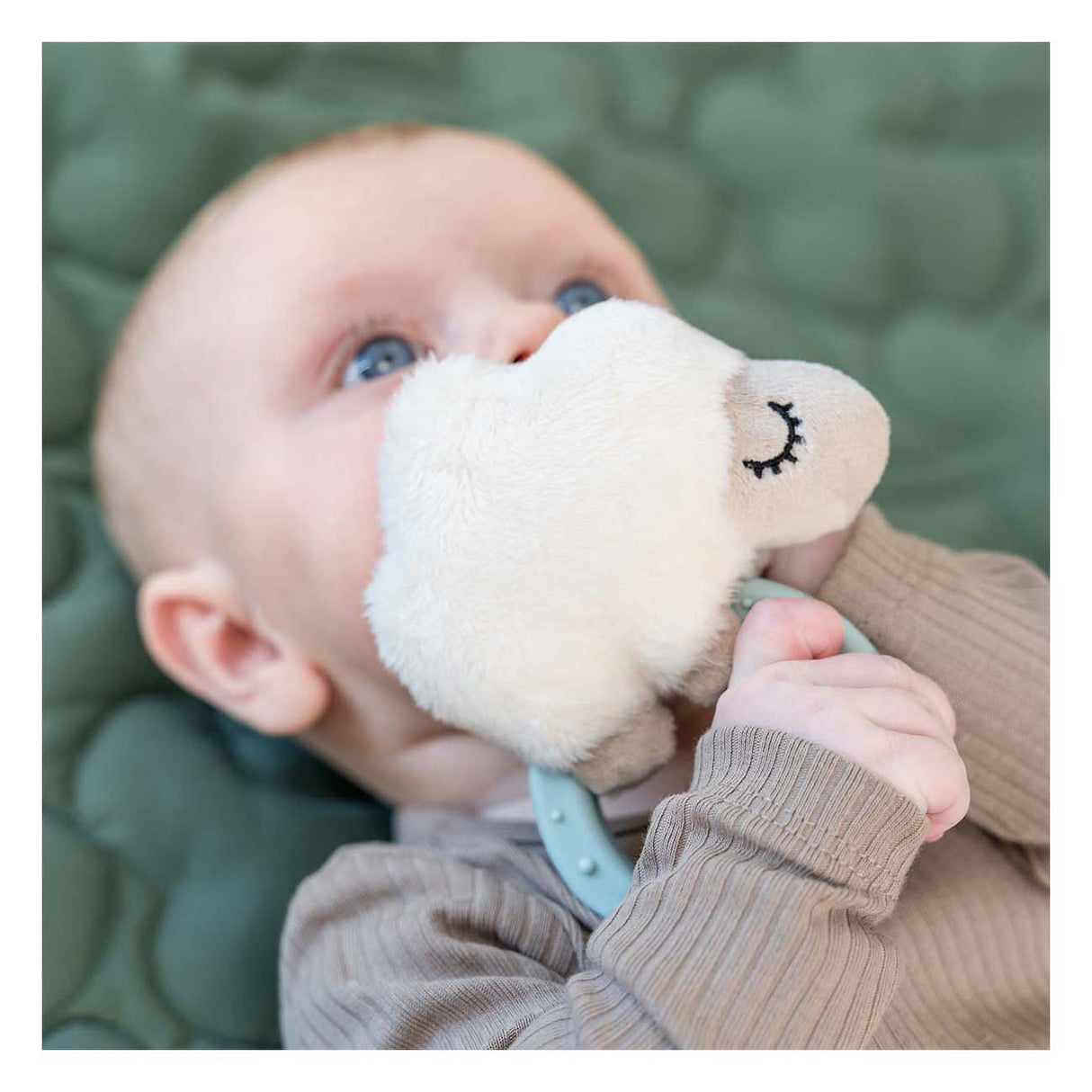 Done by deer sensory rattle with teething ring sheep