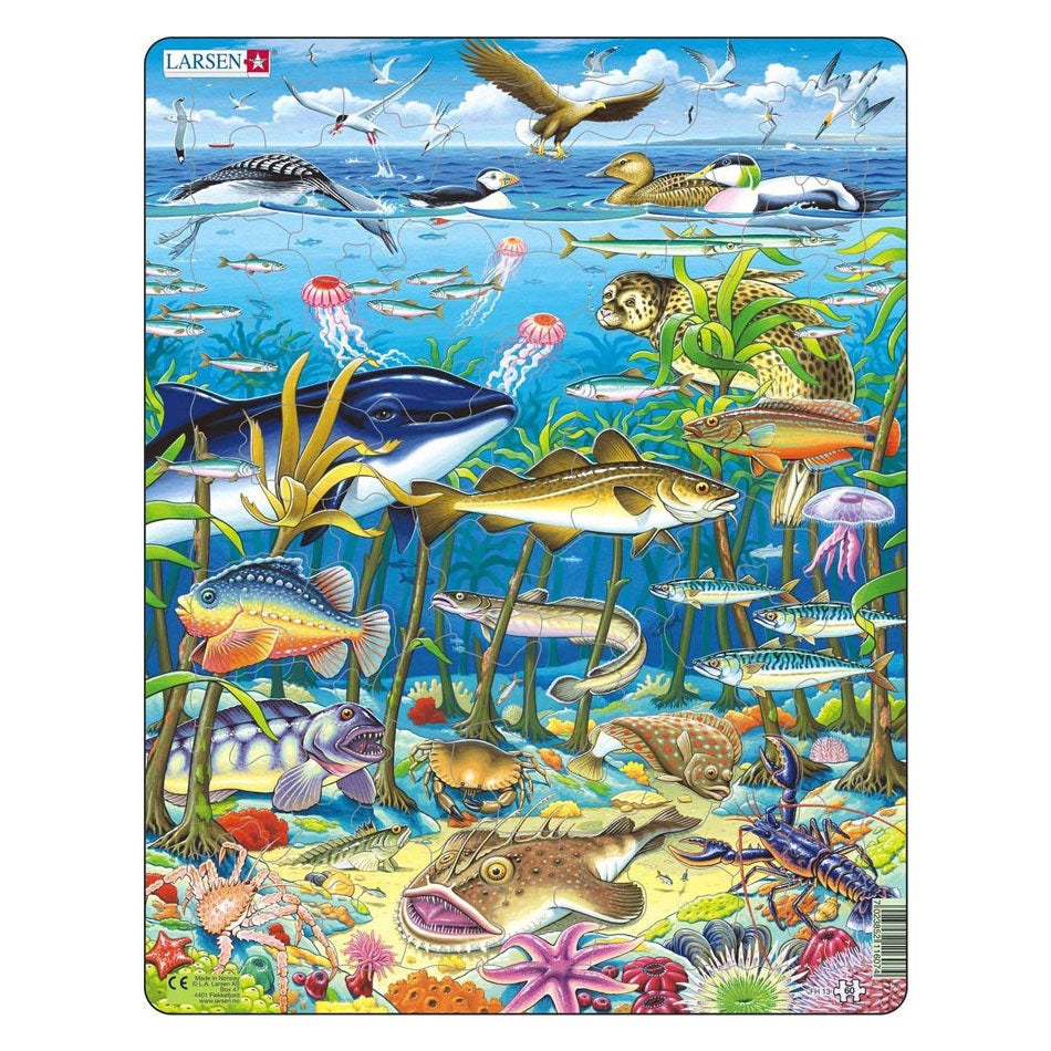 Selecta Larsen jigsaw puzzle animals - sea animals in the North Atlantic Ocean, 60 pcs.