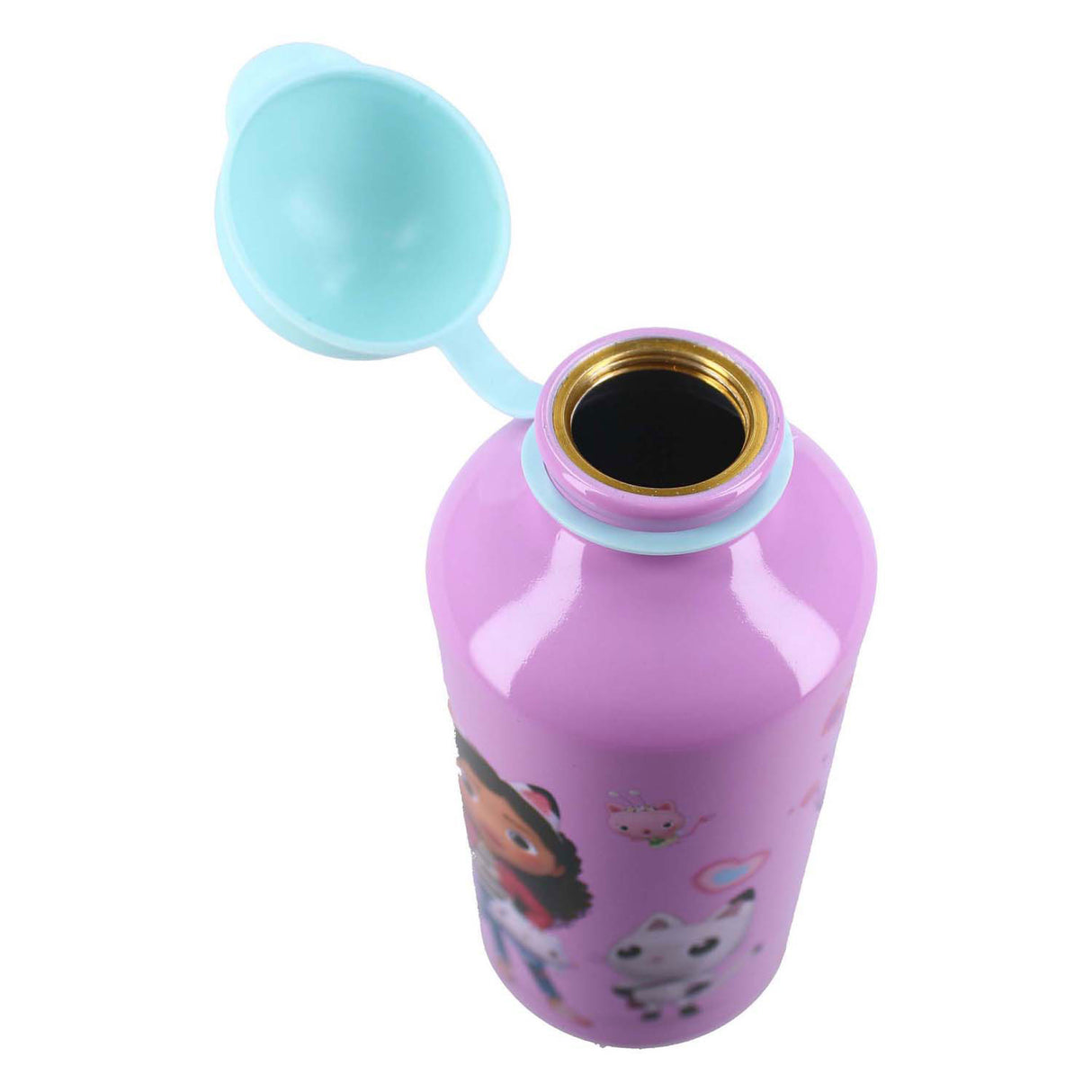 Vadobag Gabbys Poppenhuis wirklich erfrischende Trinkflasche, 500 ml