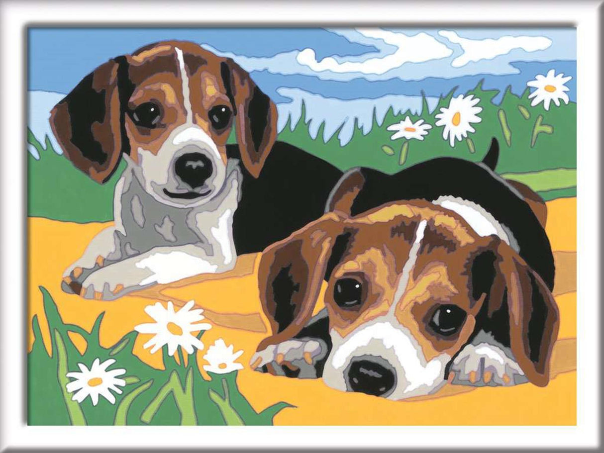 Ravensburger Kreart Gemälde auf Nummer Beagle Welpen