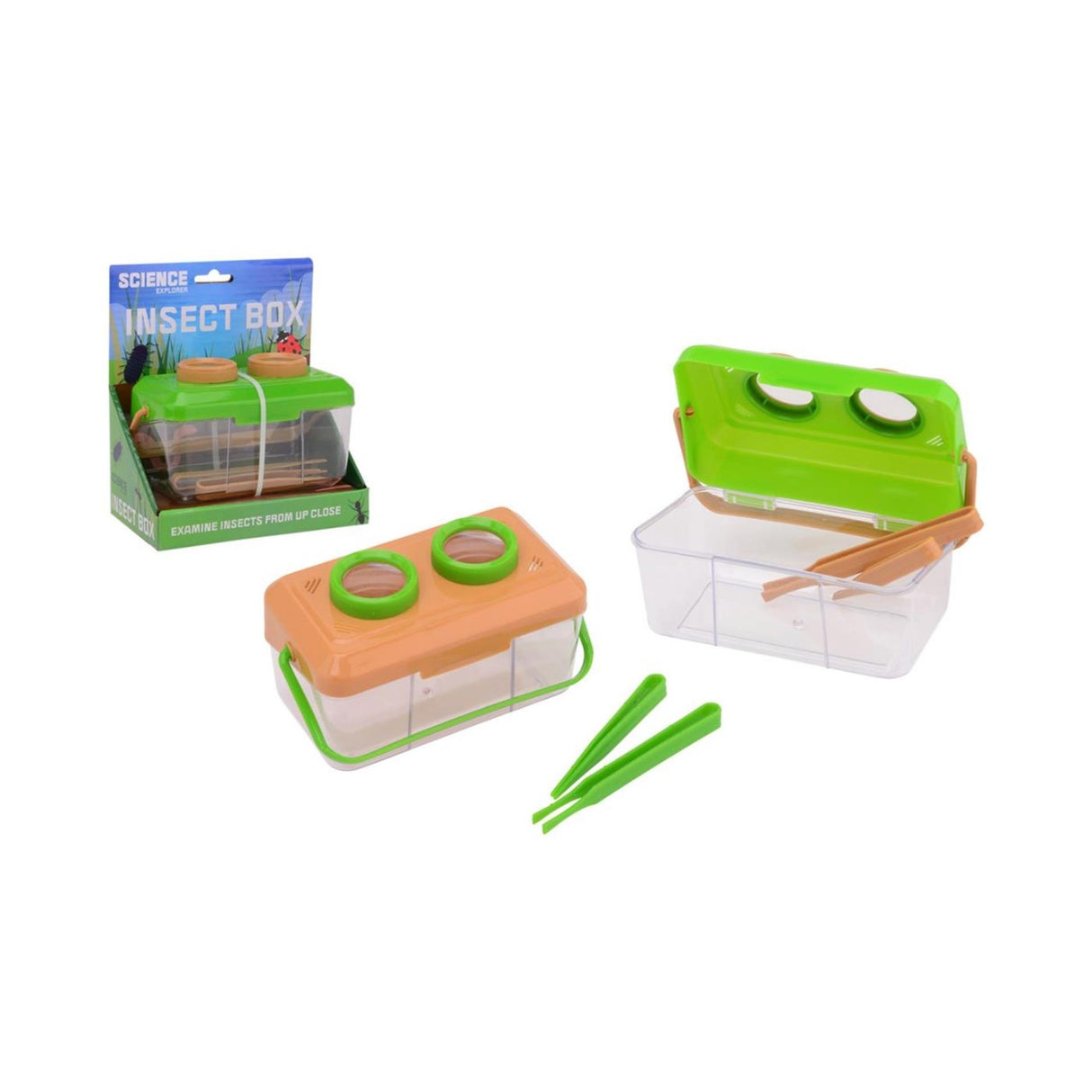 Johntoy Science Explorer Insectsbox