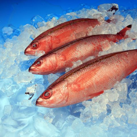 Falcon Aen Hannergrondpabeier 80x100 cm mat Faarffaarf 7st.