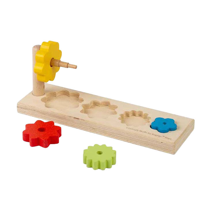 Bigjigs květinový třídič, 5 ks.