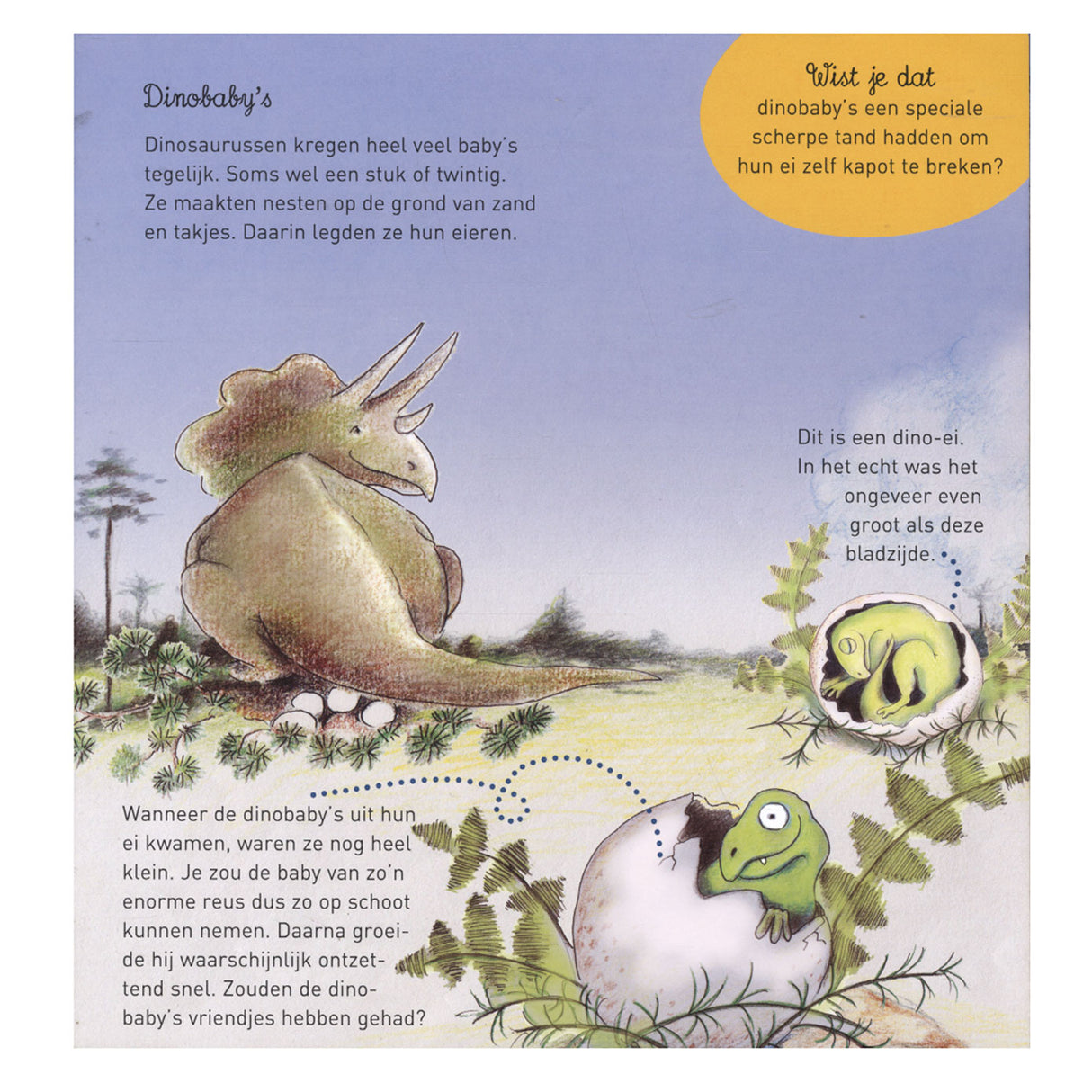 Central book house willewete - dinosaurs