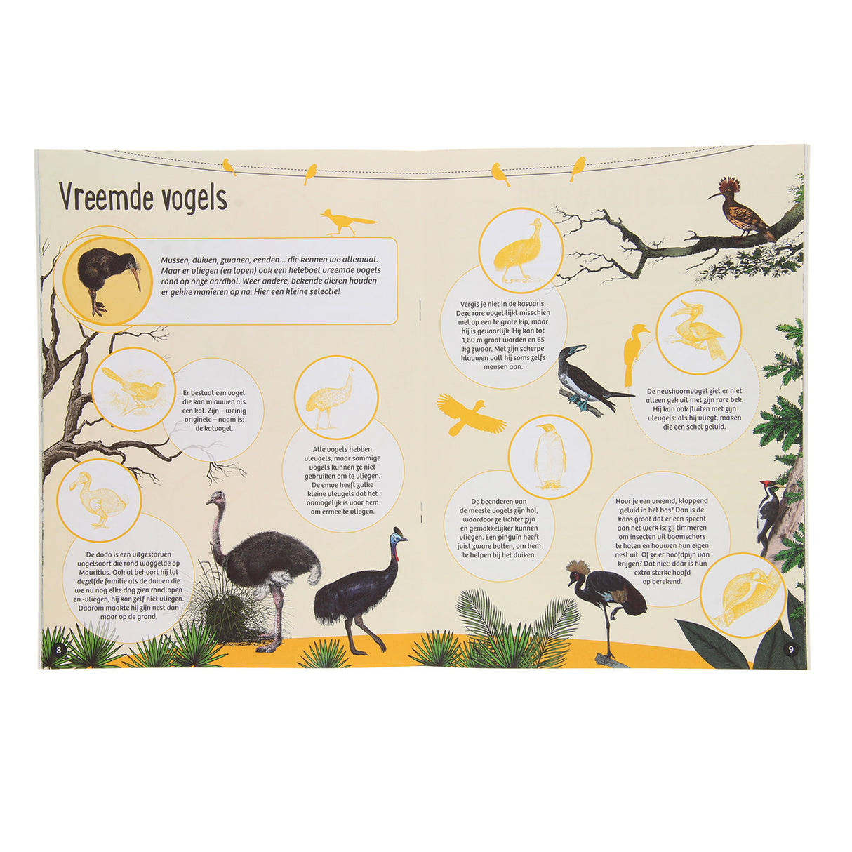 50 Facts 50 Stickers - Birds
