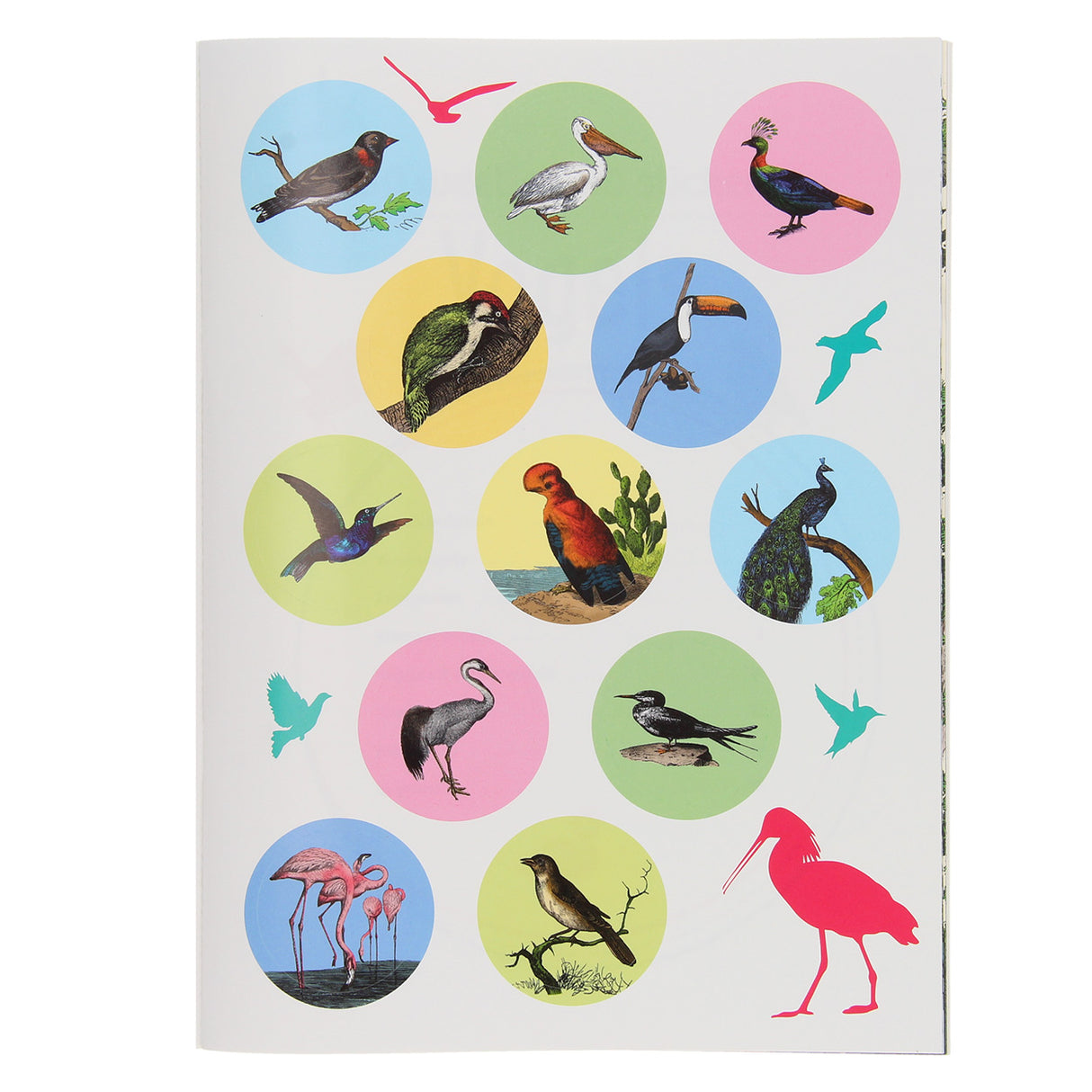 50 Facts 50 Stickers - Birds