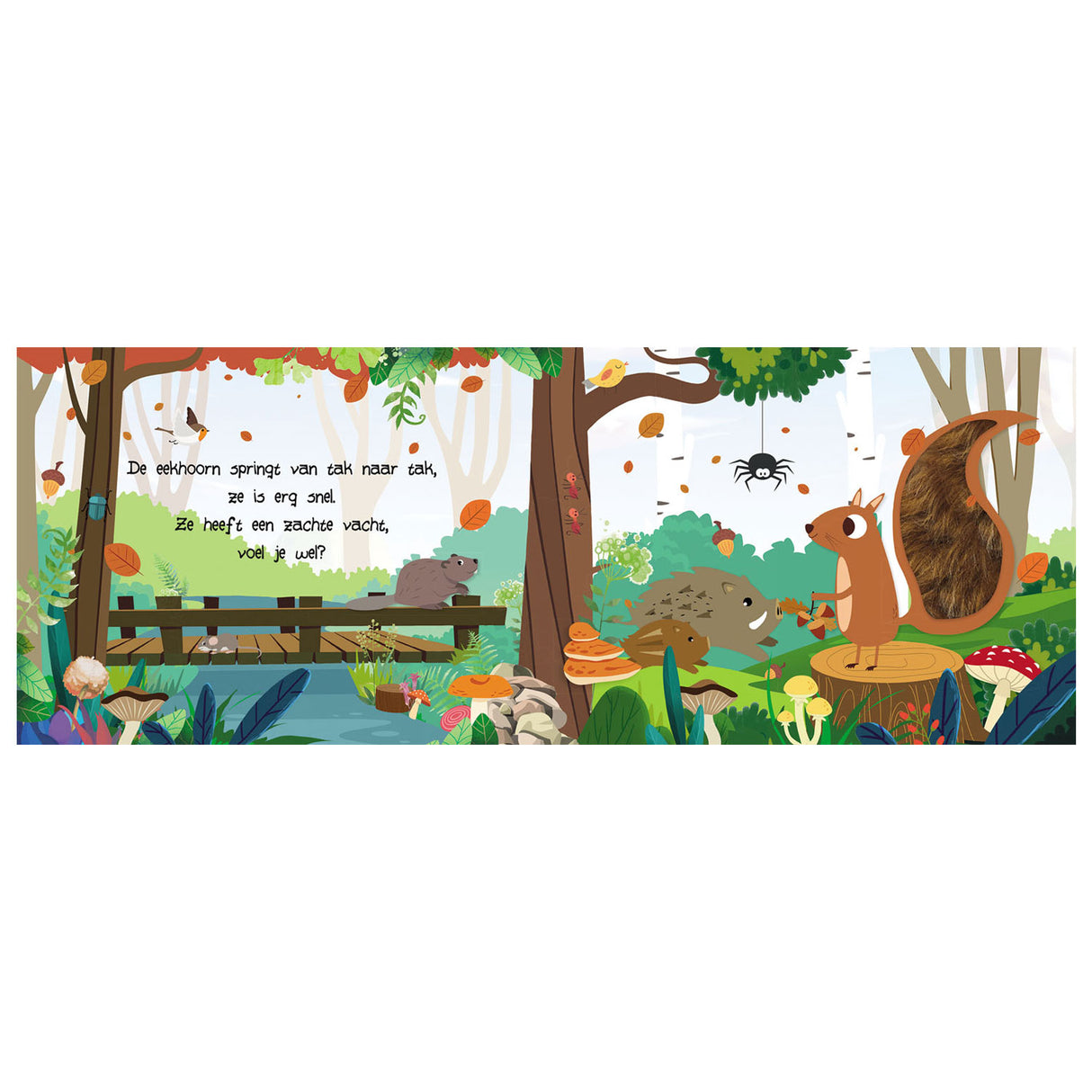 Aspect et toucher - animaux de la forêt