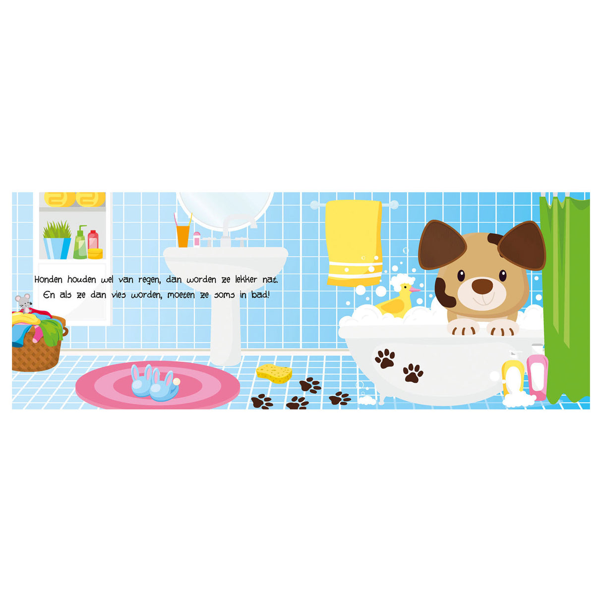 Lantern Publishers Look and Feel - Pets