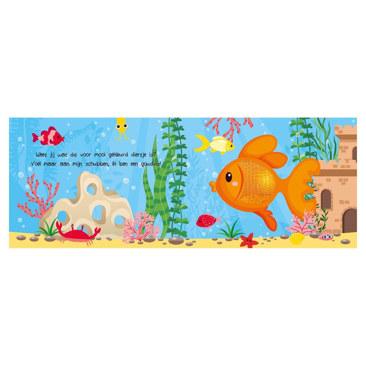 Lantern Publishers Look and Feel - Pets