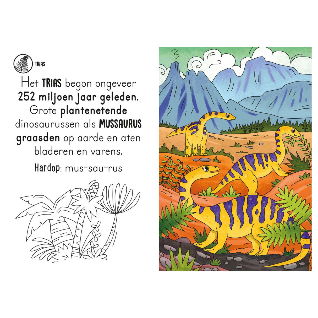 Magesch Waasserfaarfbuch - Dinos