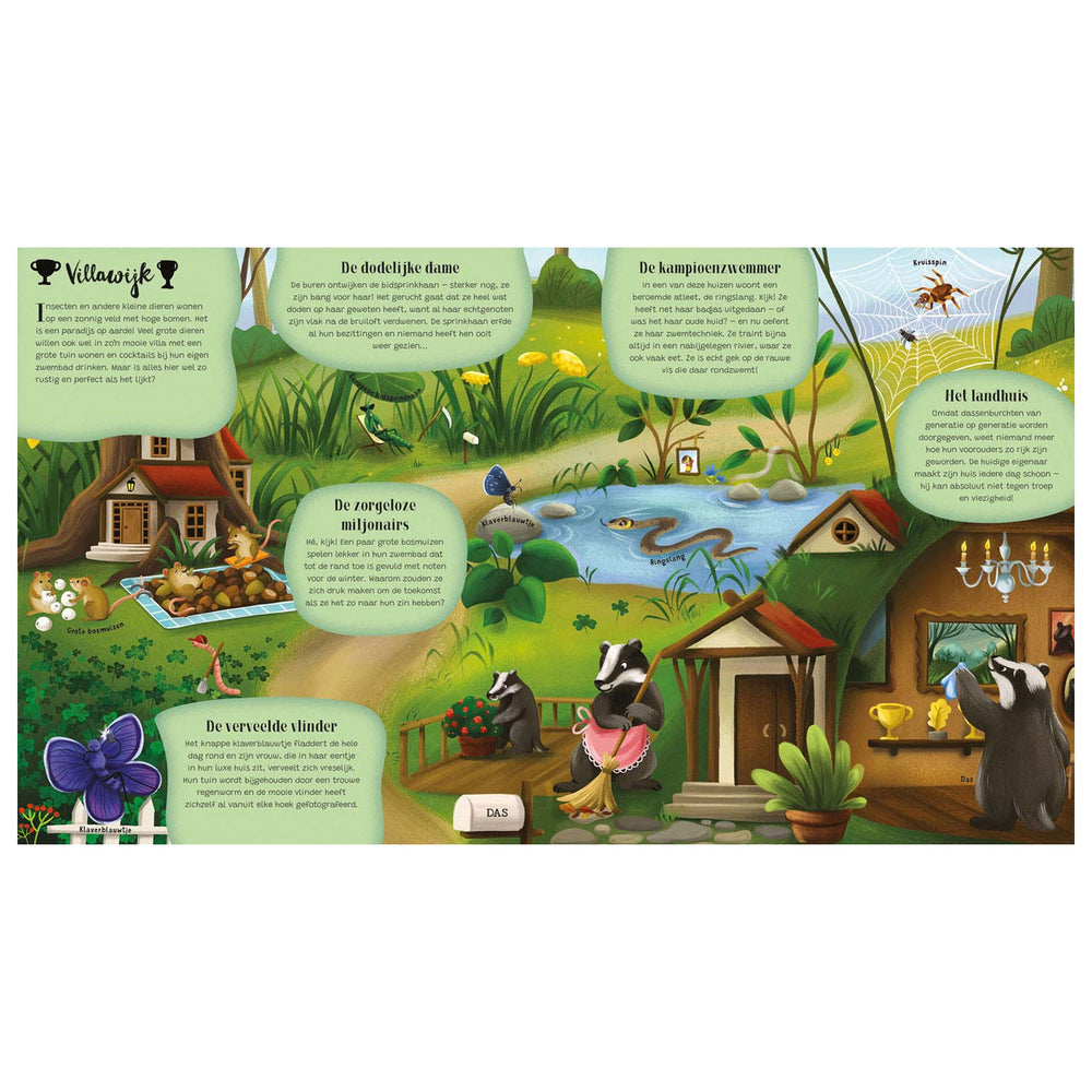 A look into the Animal Forest