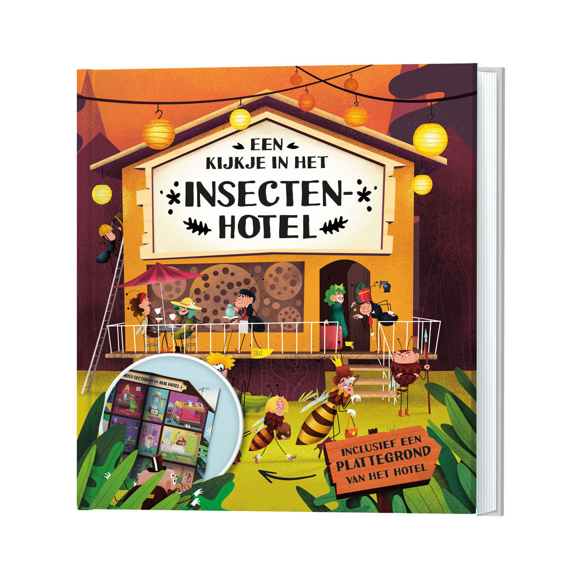 A look inside the Insect Hotel