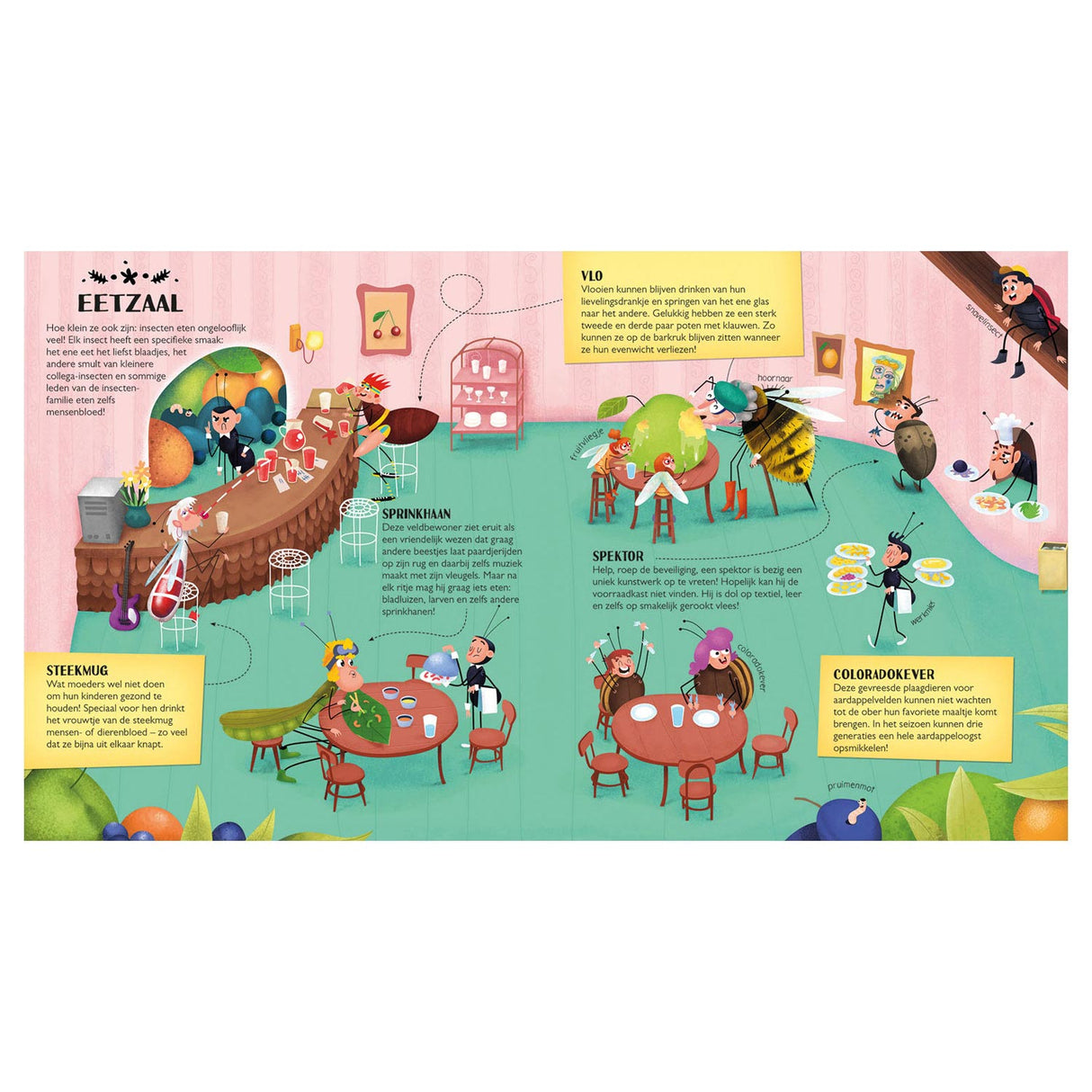 A look inside the Insect Hotel