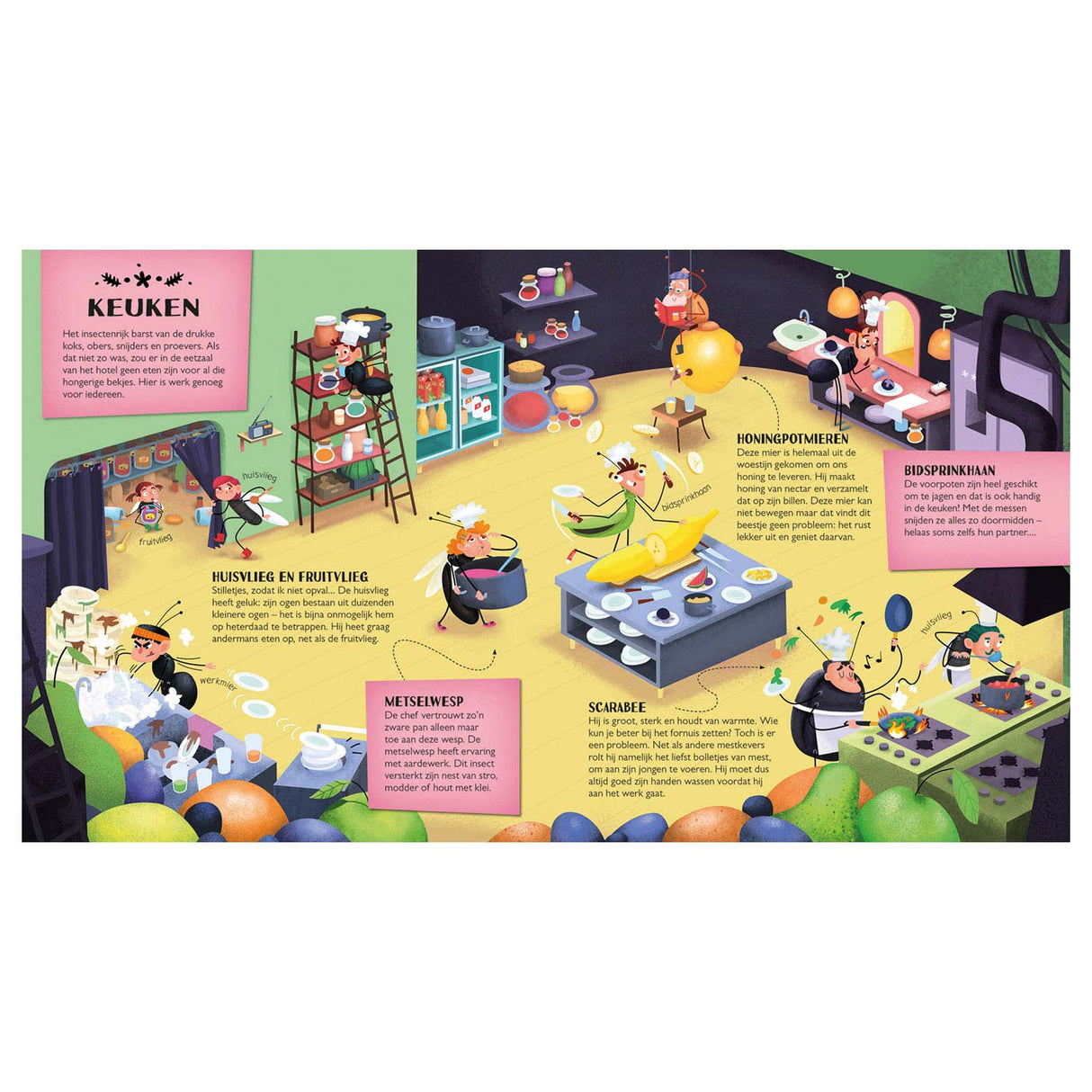 A look inside the Insect Hotel