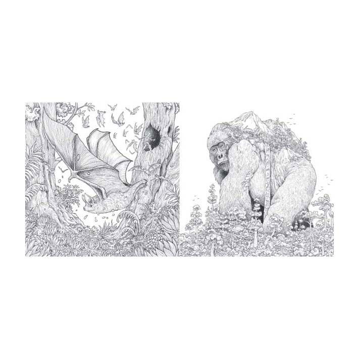 Lantaarn publishers animal world kleurboek