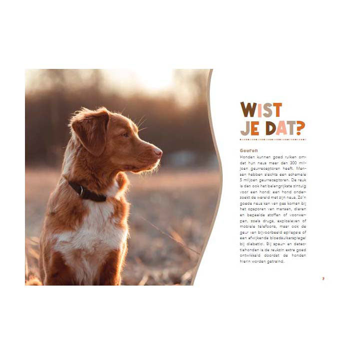 Lantaarn publishers handboek voor hondenbaasjes