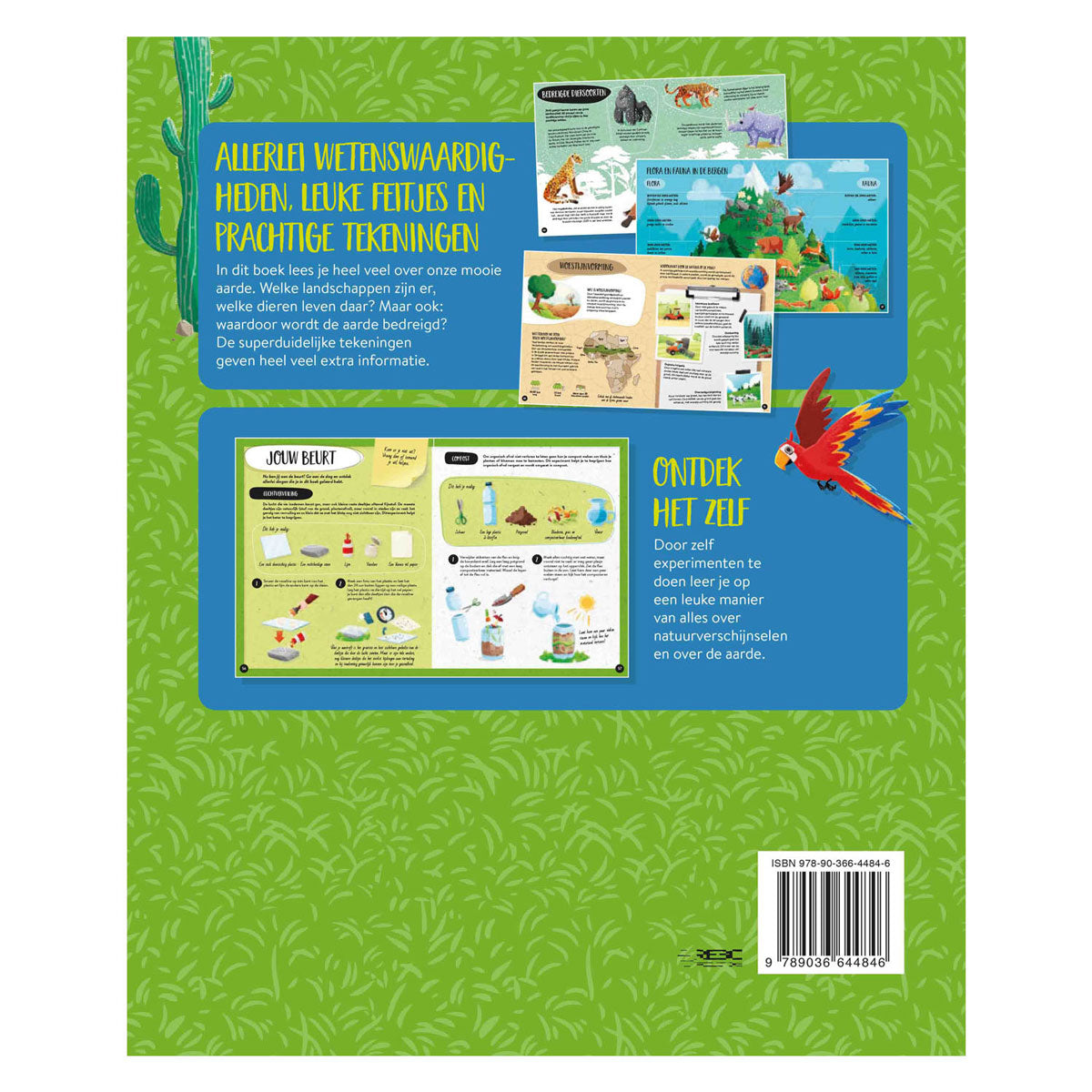 Rebo-Verleger der Erde – was, wie, warum