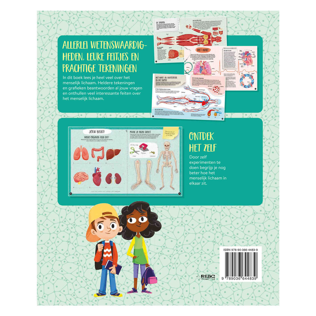 Rebo veröffentlicht den menschlichen Körper – was, wie, warum