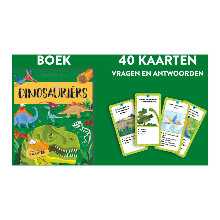 REBO Publishers Dinosaurs - Faits and Play Set