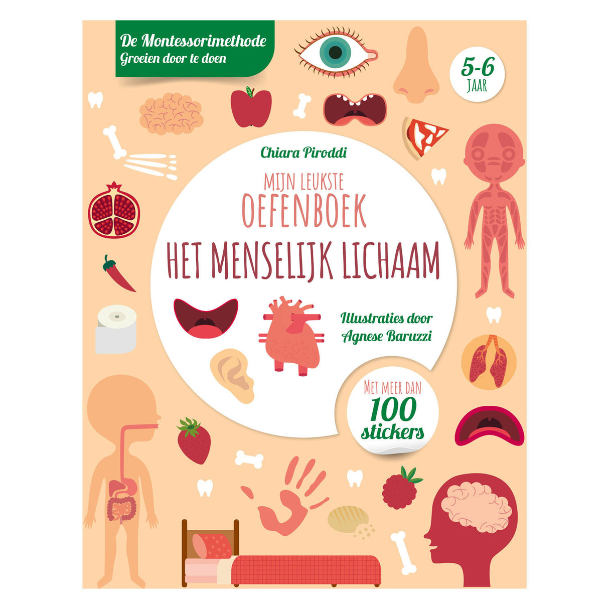 Nejlepší cvičebnice o lidském těle nakladatelství Rebo