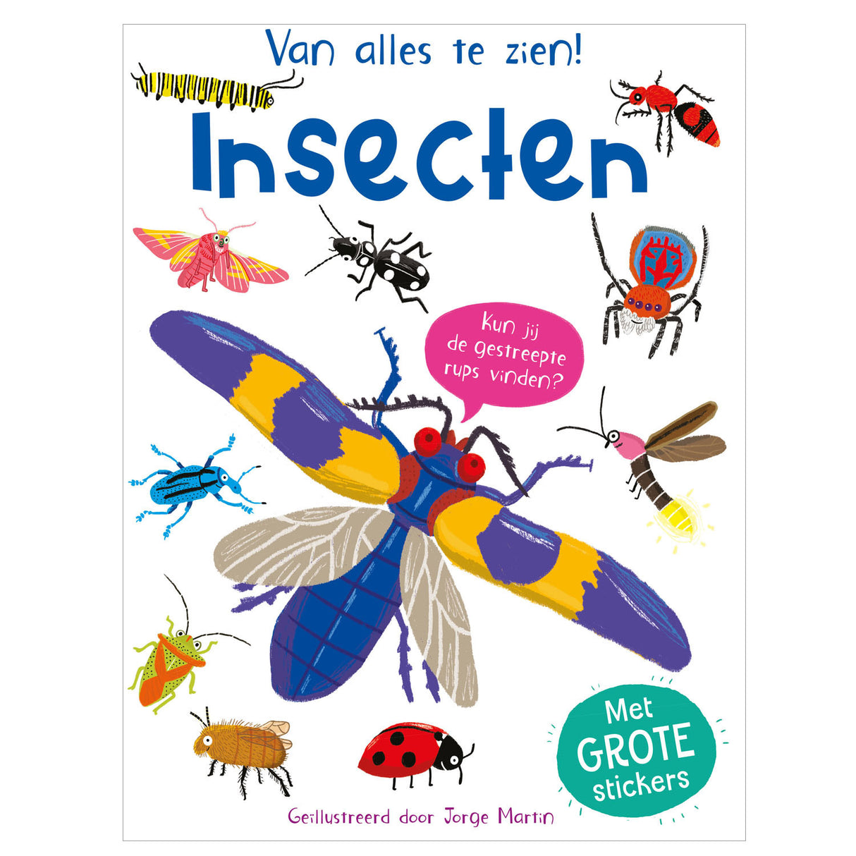 Rebo-Verleger-Insekten – viel zu sehen!