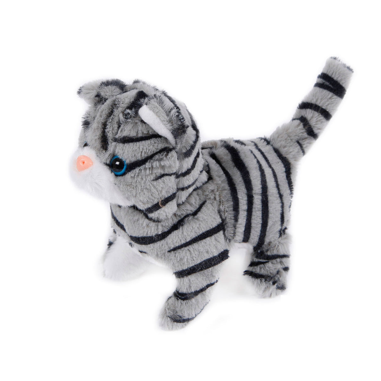 Ramenez-moi à la maison à pied la chatte