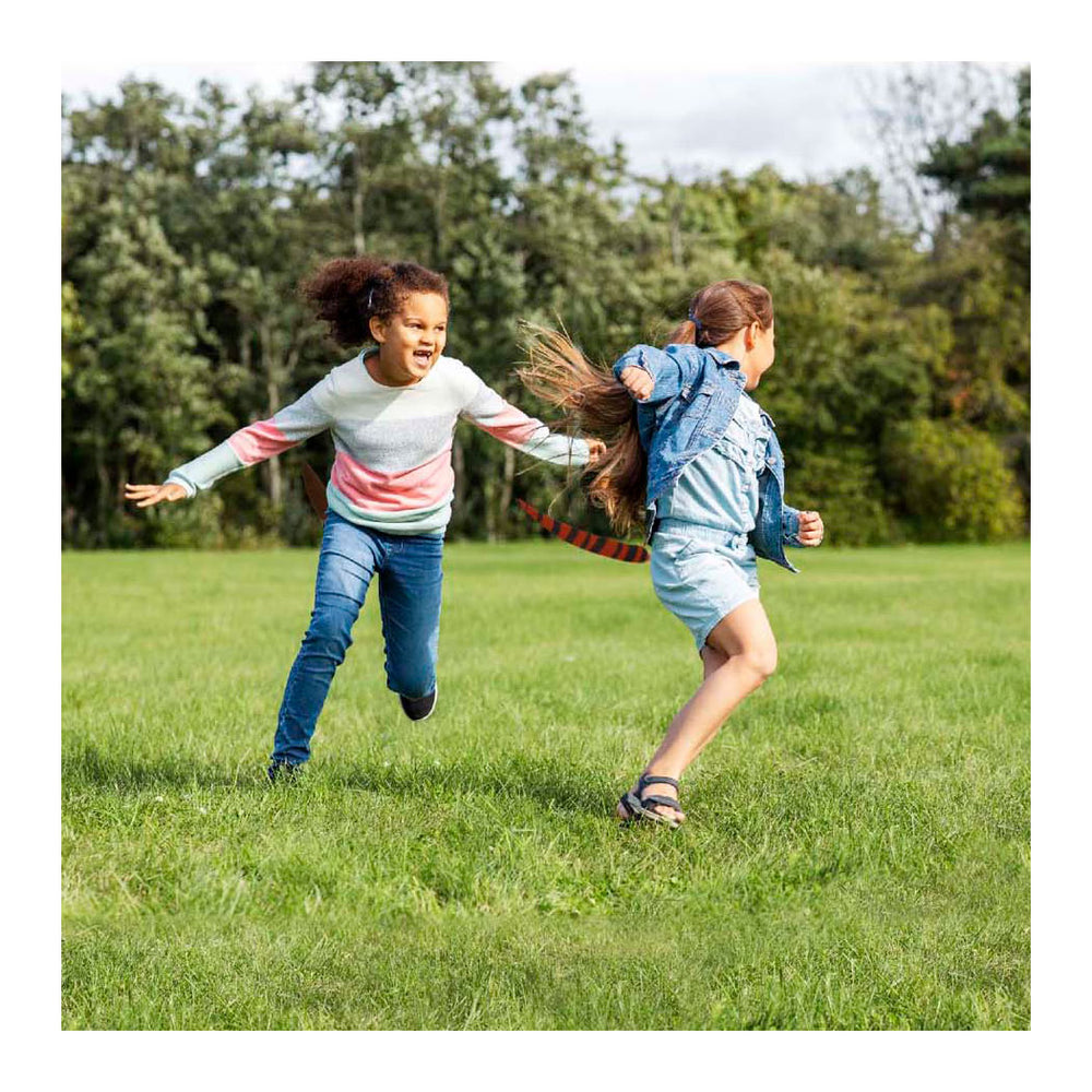 Play today animal tails tag, 6 tails