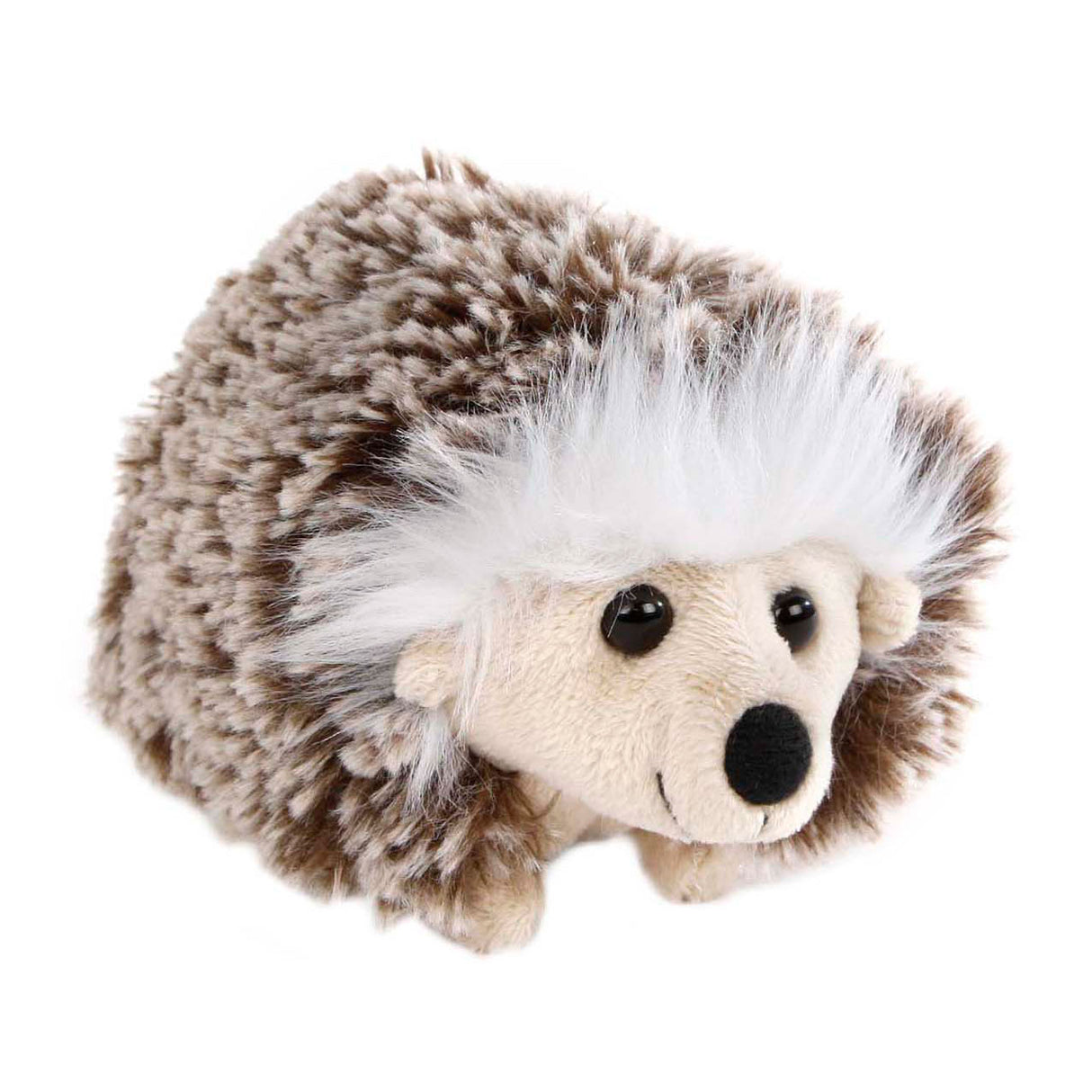 Take me home hedgehog cuddly toy plush standing, 16cm