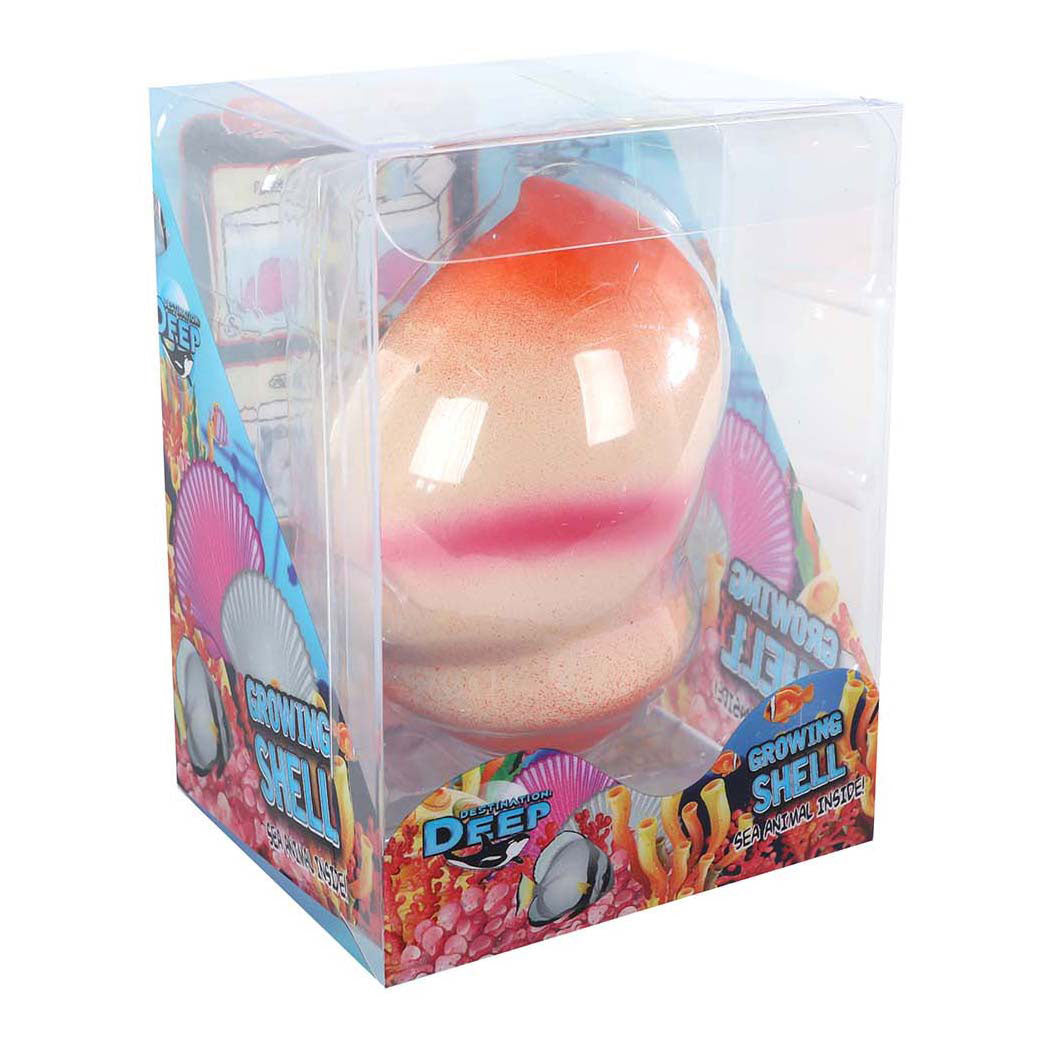 Destination deep schelp met groeiende zeedieren - 6cm
