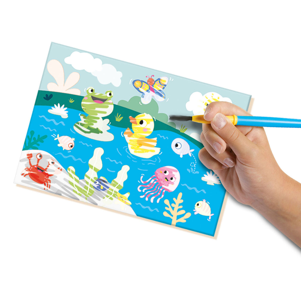 Ses mes premières couleurs avec de l'eau - Animaux cachés
