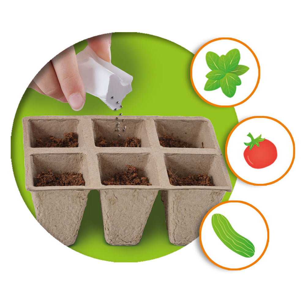 Ses creative explore wooden greenhouse with vegetables