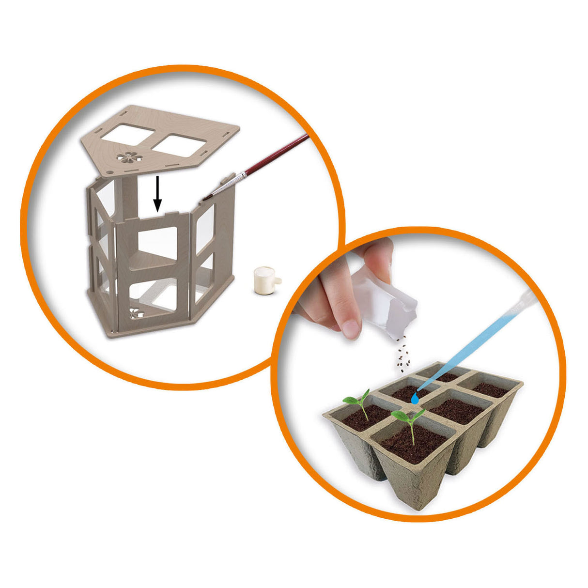 Ses kūrybingas tyrinėti medinį šiltnamį su daržovėmis