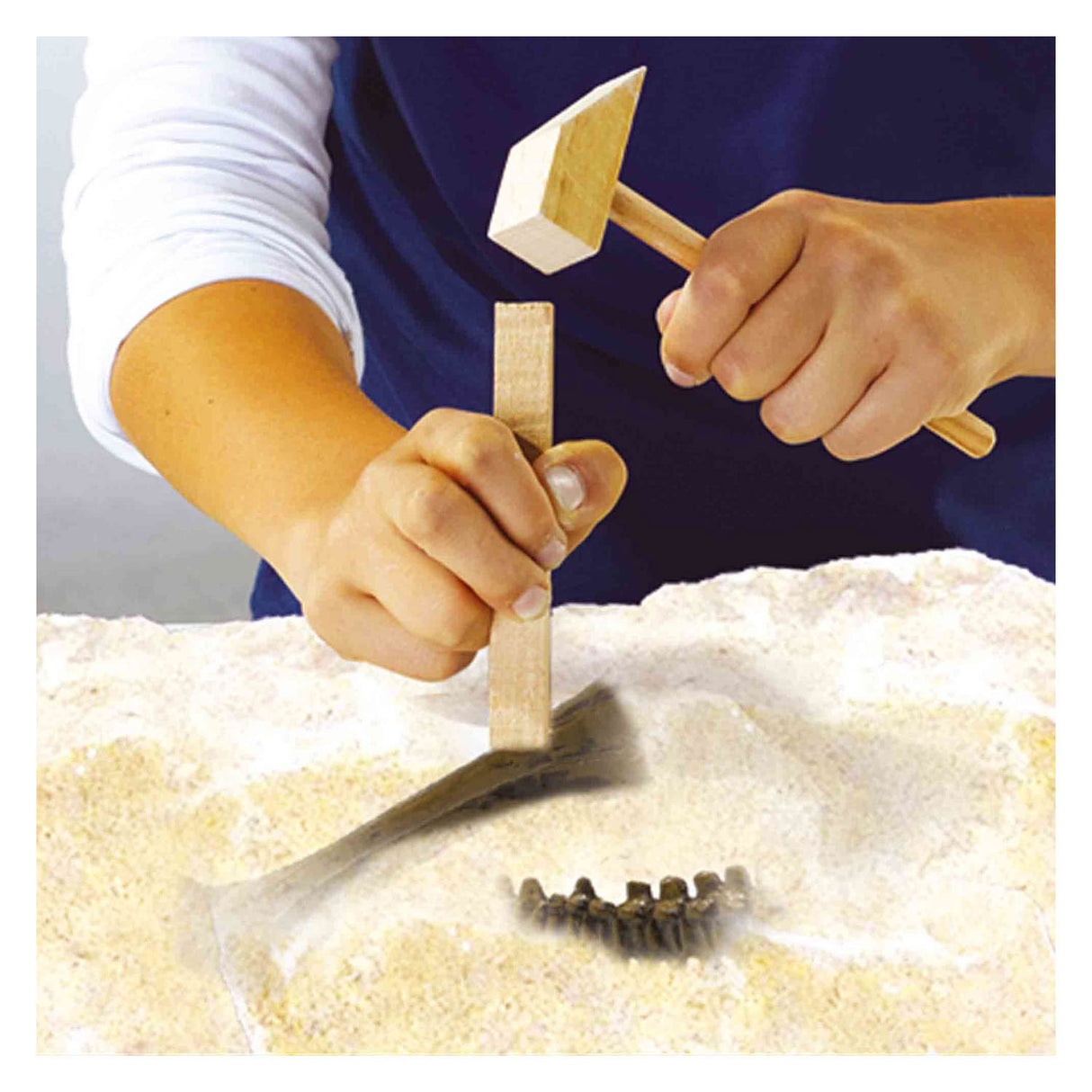 Ses explore dino and skeleton excavation 2in1 - t-rex