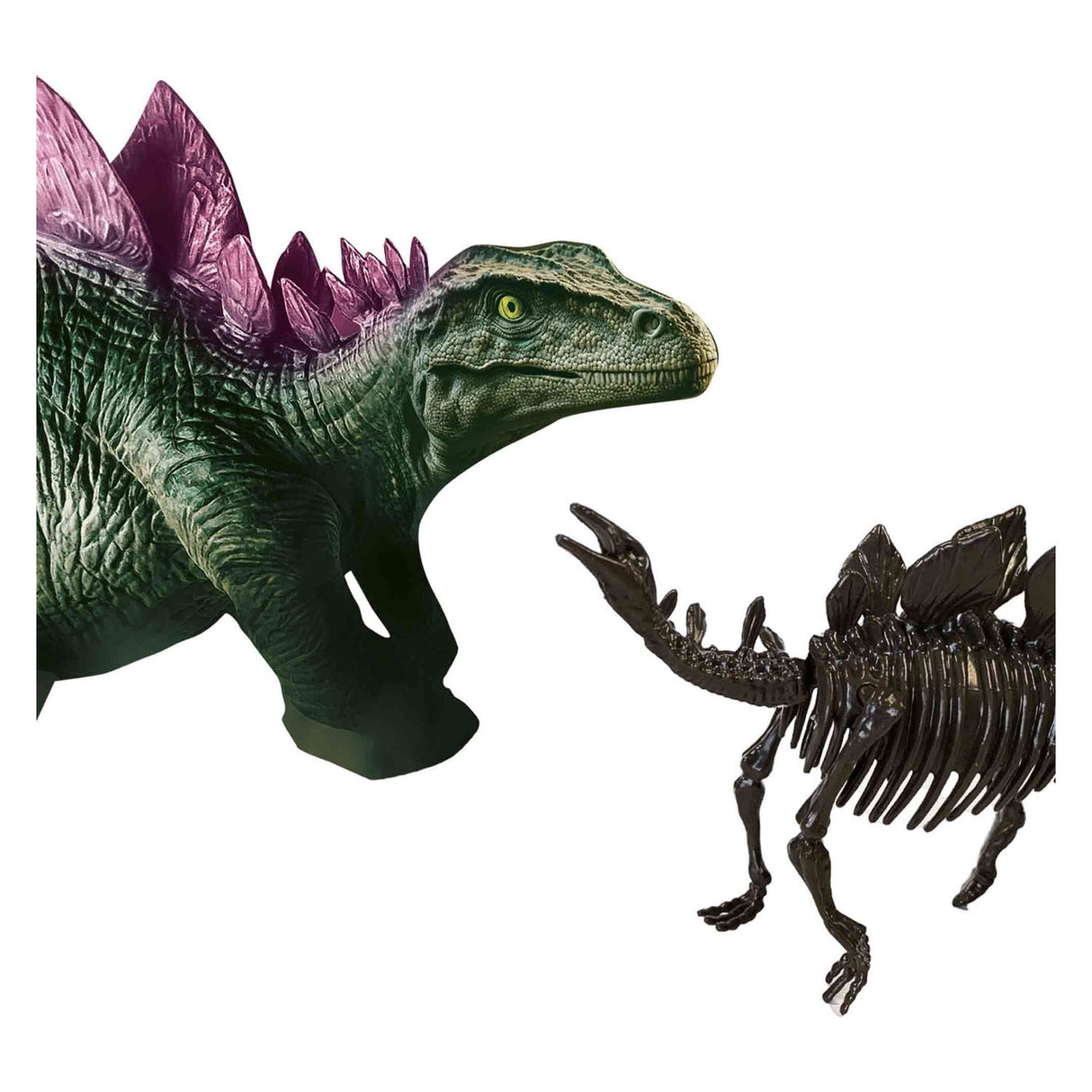 Ses explore dino en skelet opgraving 2in1- stegosaurus