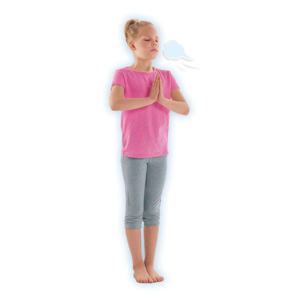 Ses Zen Yoga Tiere, 28 Teile.