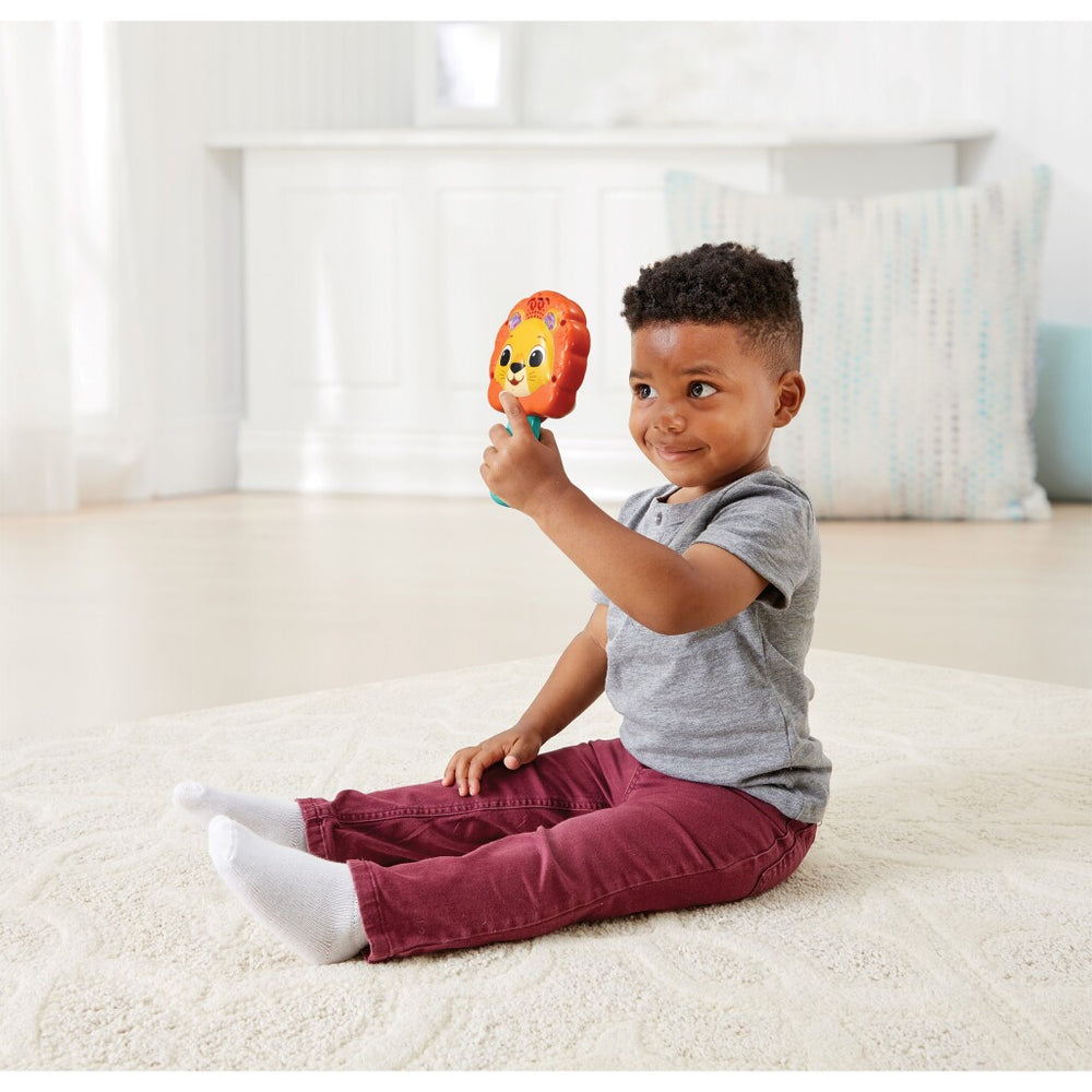 Vtech peek-a-boo lion
