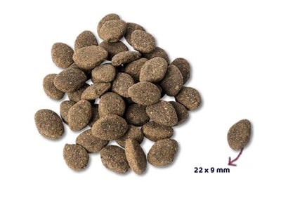 Renske Super premium adult lamb grain-free