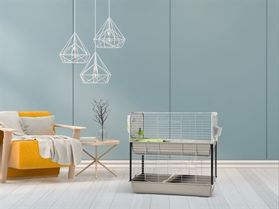 Savic Caesar 3 gnaverbur Dobbelt taupe