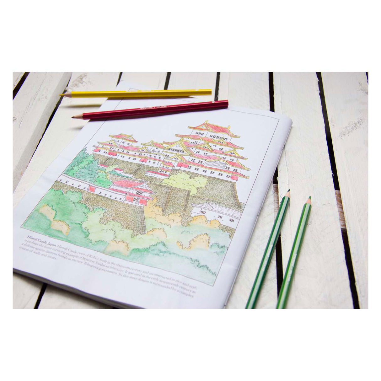 Bruynzeel -Papagei 45 farbige Stifte