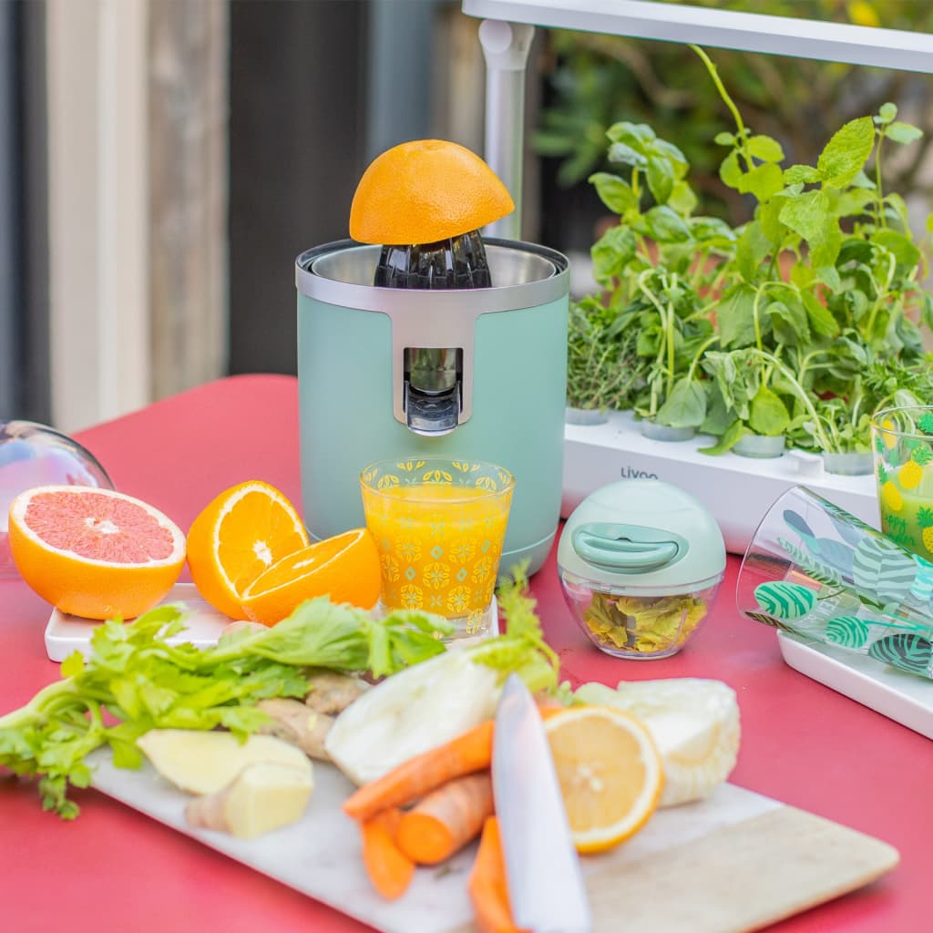 Livoo Livoo Citruspers Electric 70 W 400 ml grøn